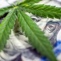 Finer Limits for the Best Cannabis Dispensary Management