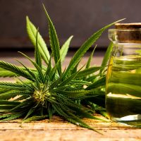 Impact and Benefits of Cannabis Products and Raw Materials On Society