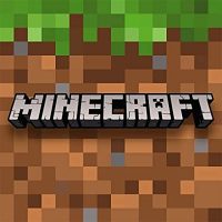 The Role of Minecraft Servers in Developing Critical Thinking Skills