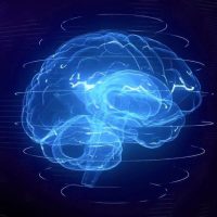 The Perception Trailblazer: Dr. Philip Sobash's Advances in Neuro-Scientific Understanding